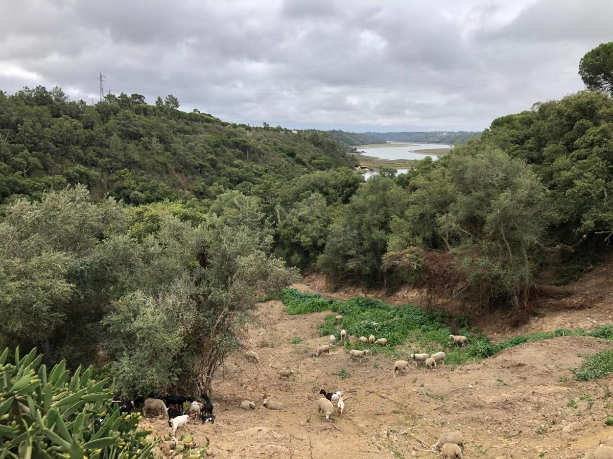 Herdade Do Freixial - Affittacamere Vila Nova de Milfontes