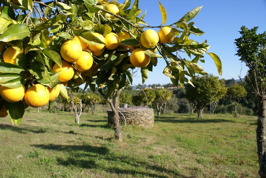 Affittacamere Herdade Do Freixial - Vila Nova de Milfontes